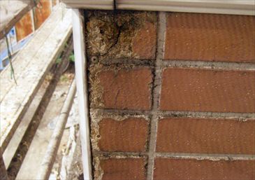 外壁の劣化状態2